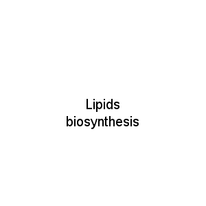 Lipids biosynthesis